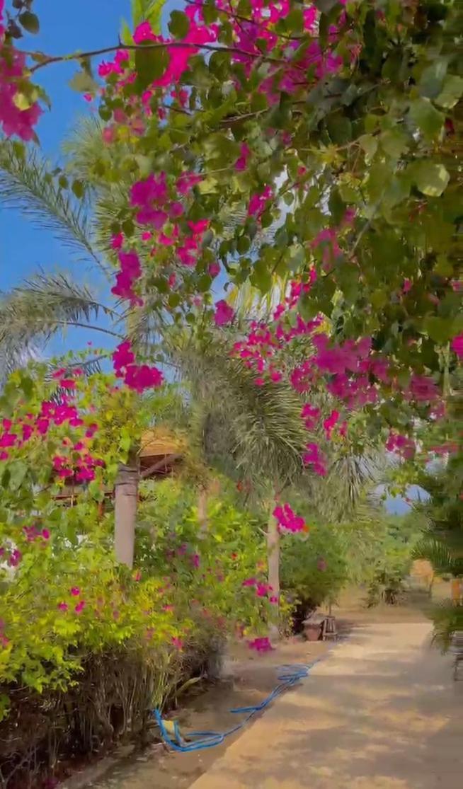Sea Breeze Villas - Gili Air, Lombok Экстерьер фото
